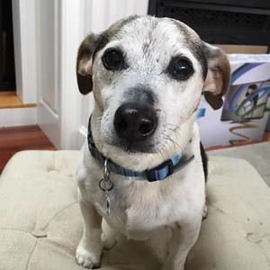 Meet your Posher, Cady